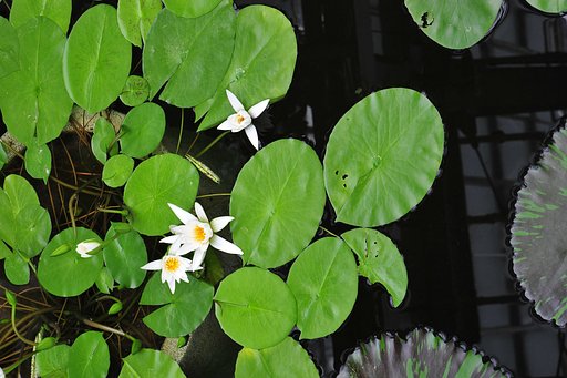 植物公園にて