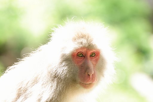 【逆光】きれいに撮ってね