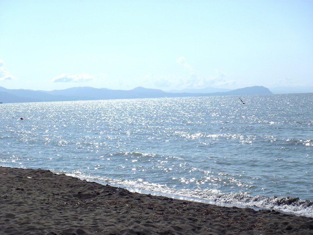 キラキラの海