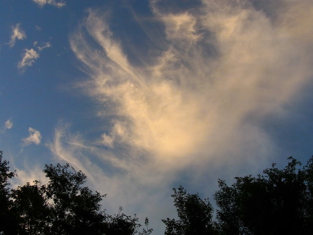 夕雲
