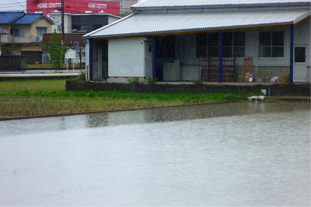 雨