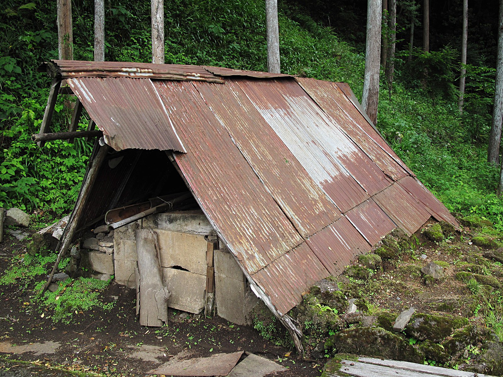 炭焼き小屋