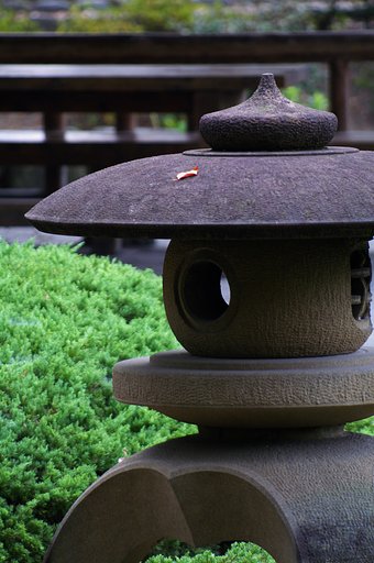 確かに鉄を撮りに行ったのだが
