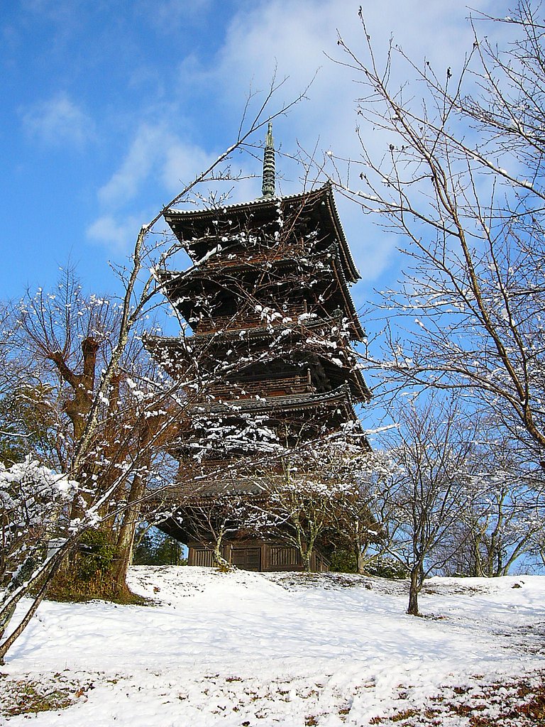 余りにも暑いので(;^_^A