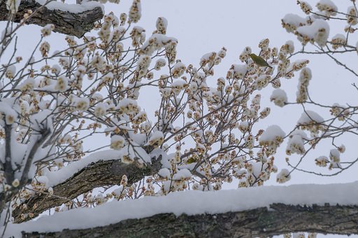 2月8日の写真