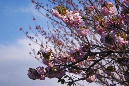 豪華に・・