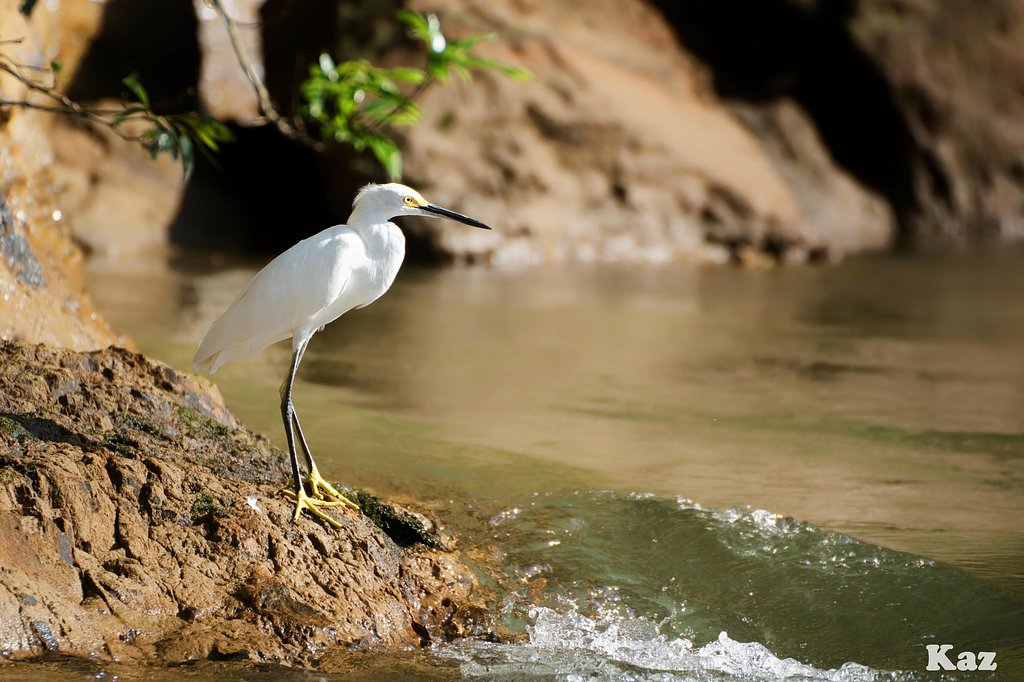 Costa Rica 12