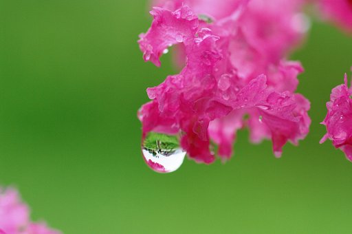 明日を占う