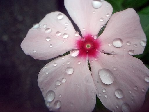私の【肌】はどうですか