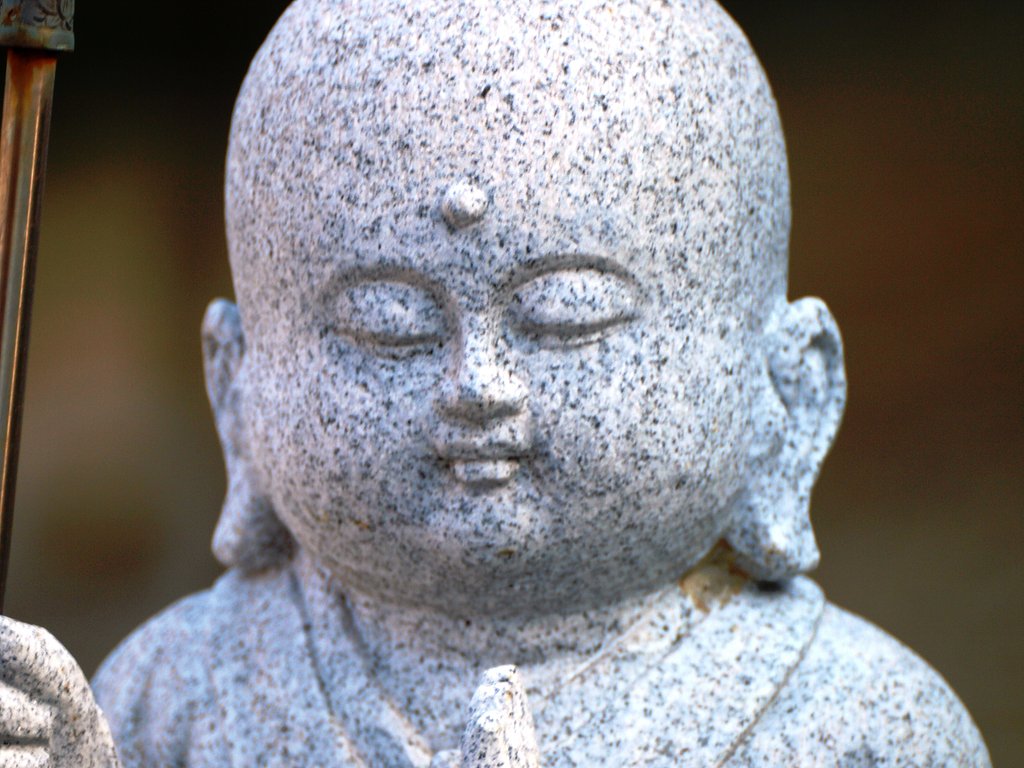 【肌 】石の肌