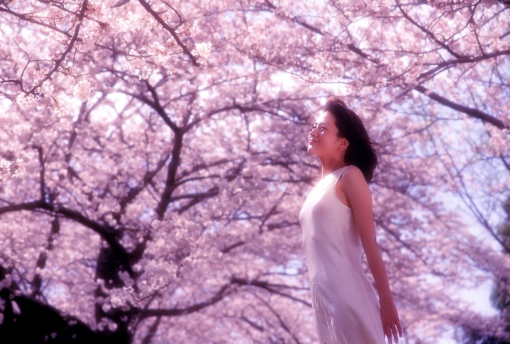 ある風景