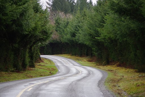 Hoh Rain Forest入り口２
