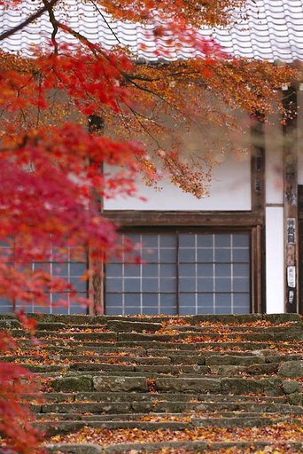 大洞院
