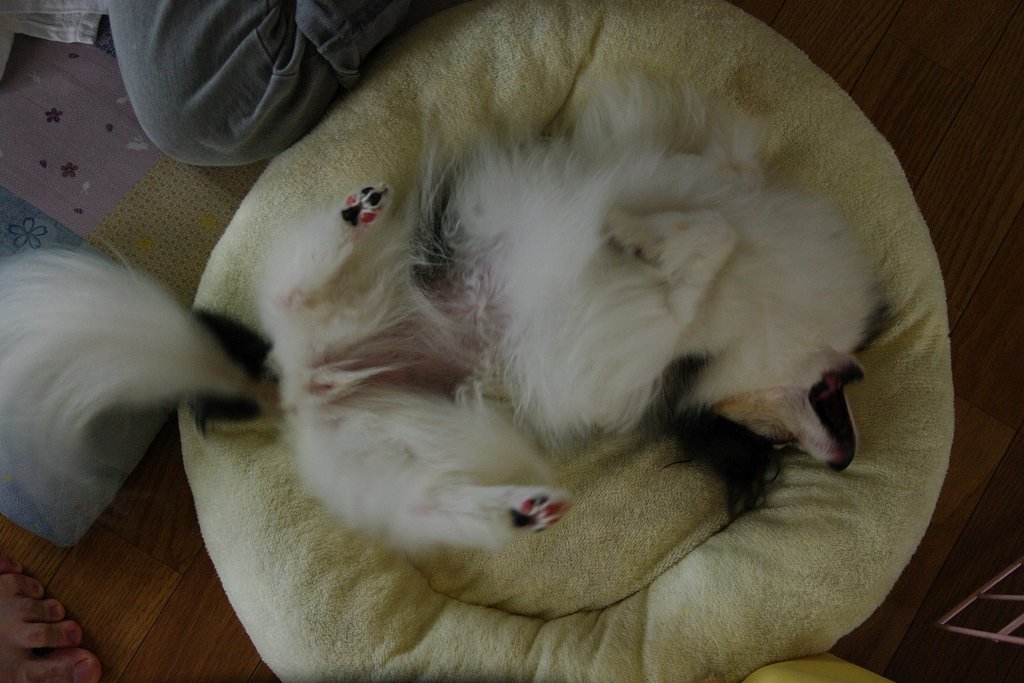 ぐるんぐるん