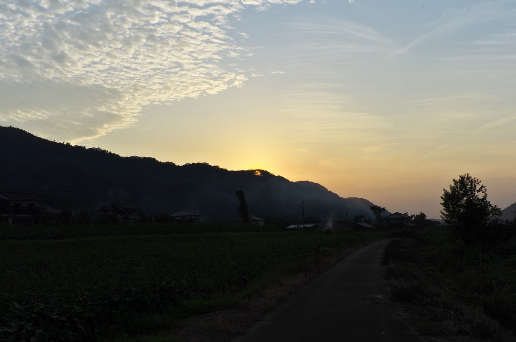 今日の夕焼。