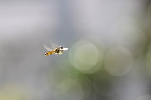光の向こうには・・・