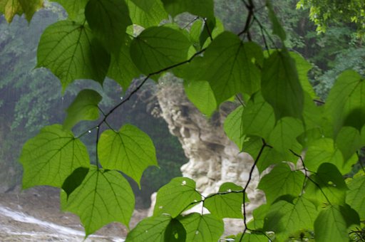 9月5日の写真