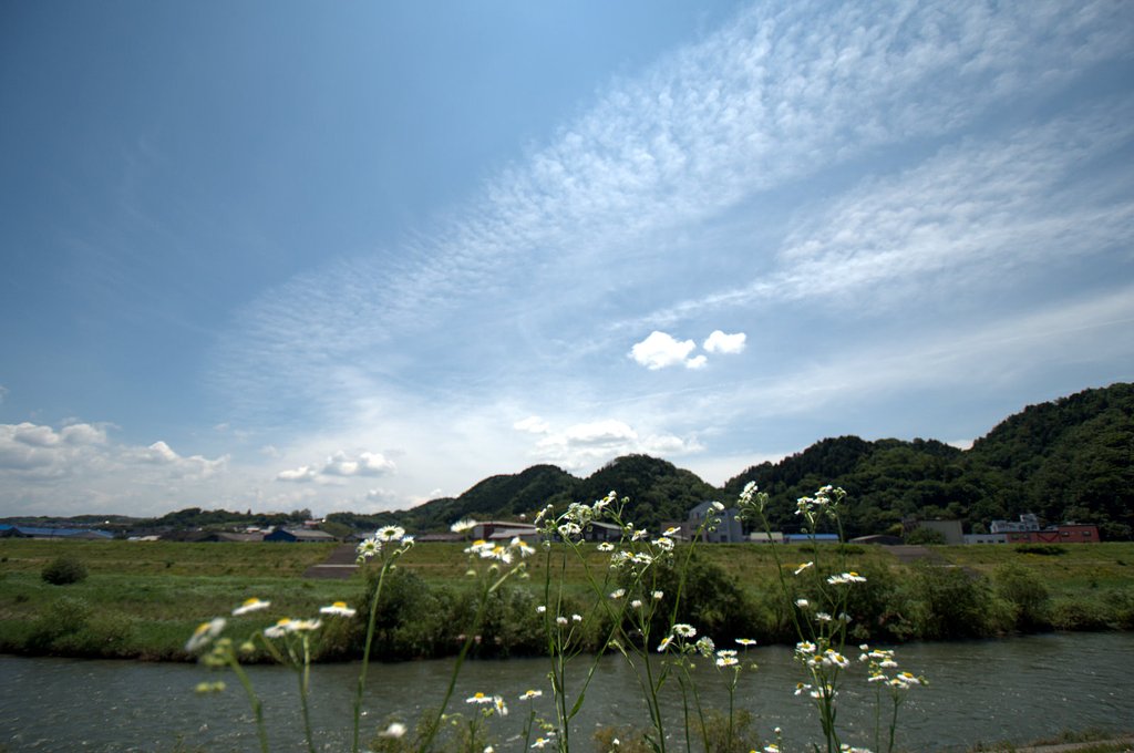 梅雨の晴れ間