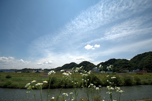 梅雨の晴れ間