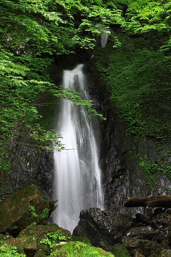 滝