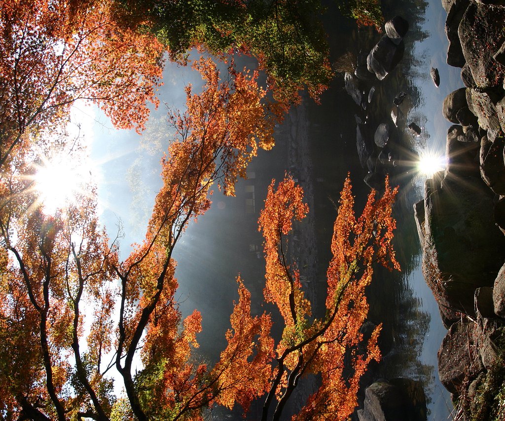１１月【紅】の結果発表