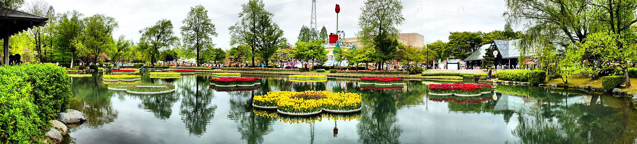 【質】　砺波チューリップ公園