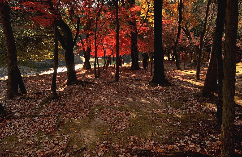 古刹の紅葉