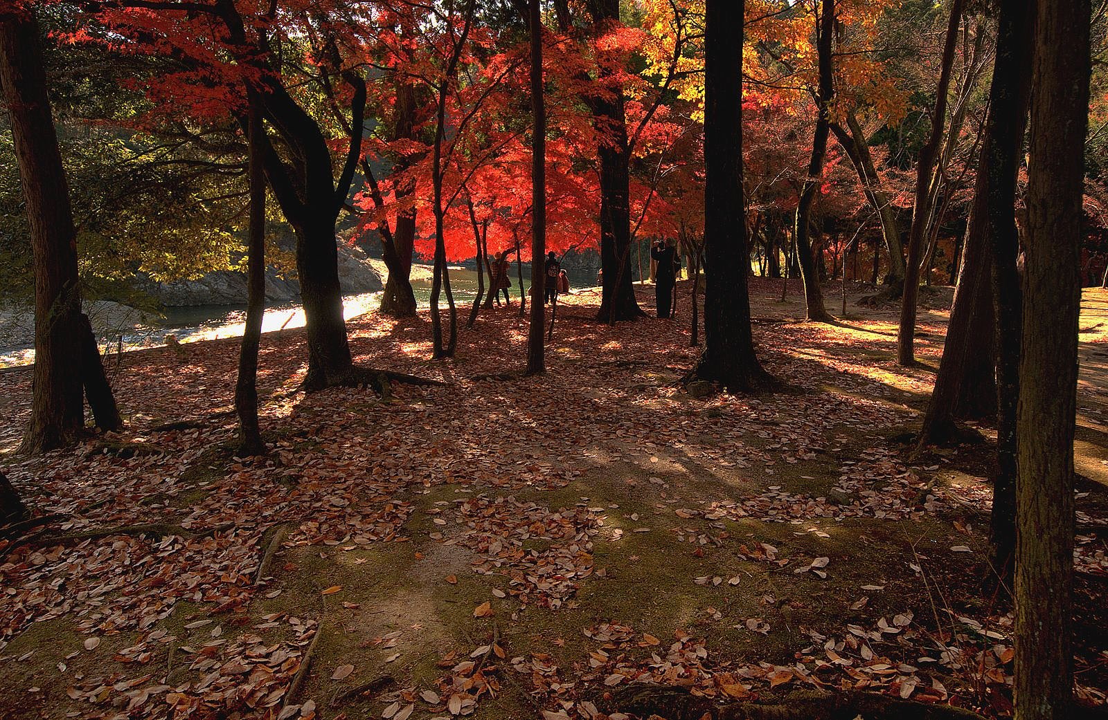古刹の紅葉