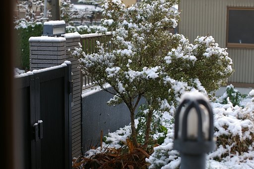 積雪2㎝？