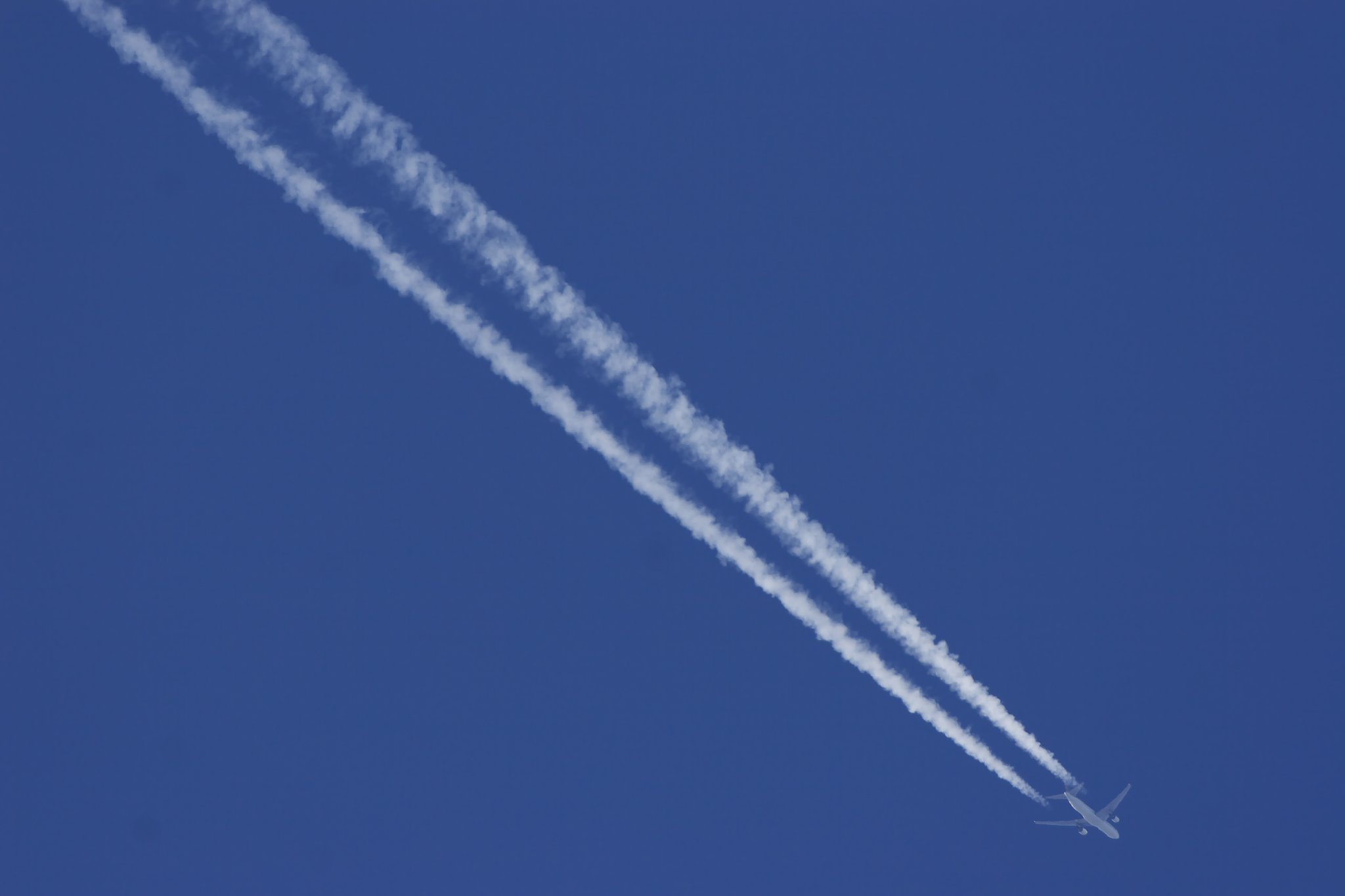 Contrail