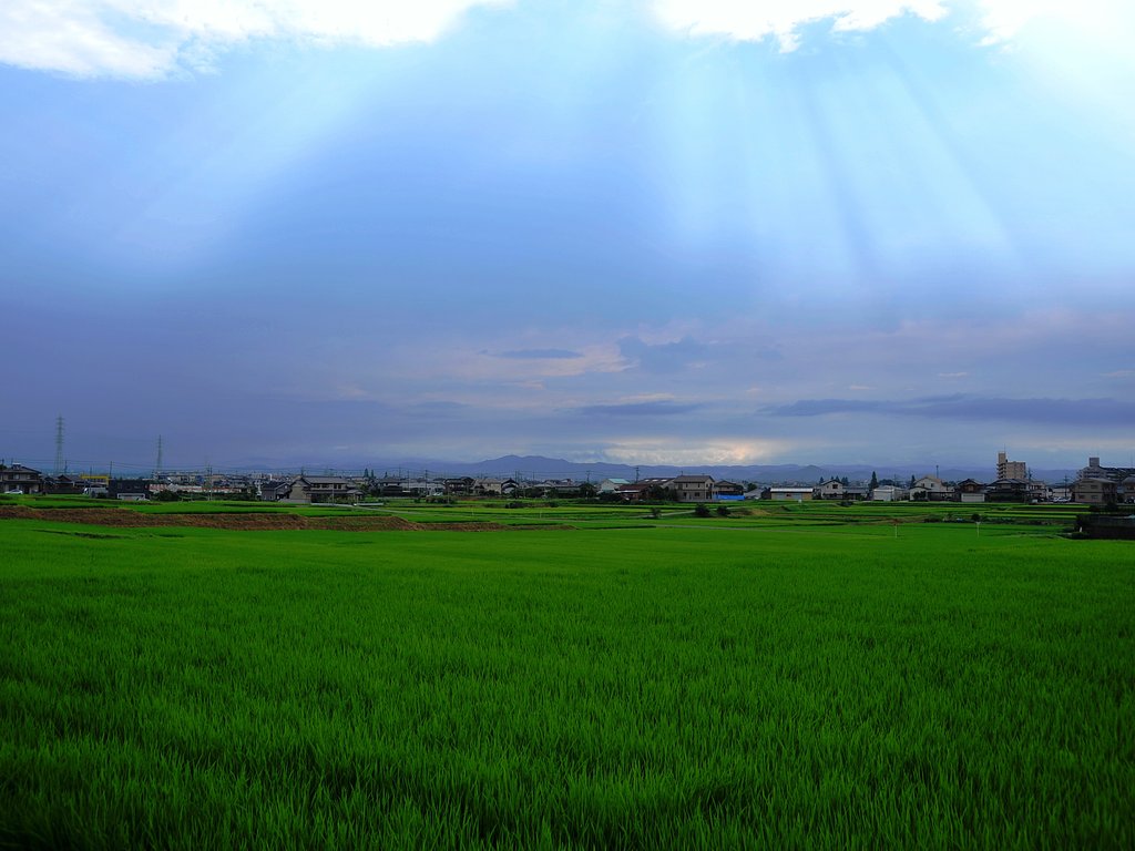 田園
