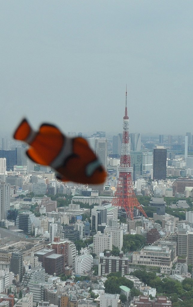 東京タワーとクマノミ