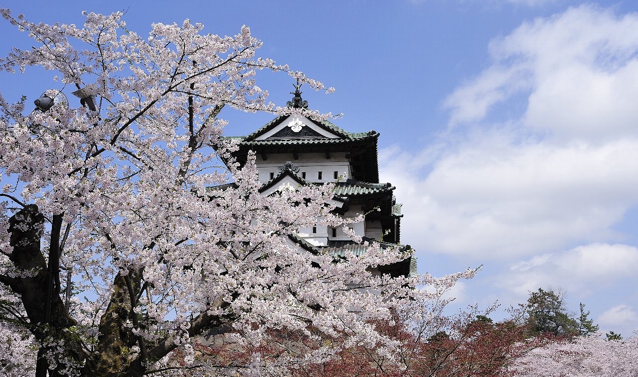 桜祭り