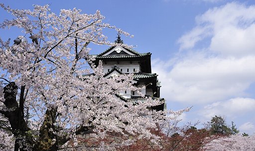 桜祭り