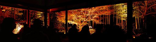 11月13日の写真