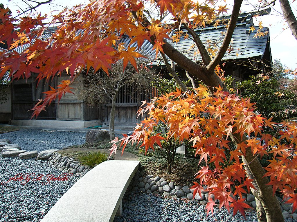 紅葉