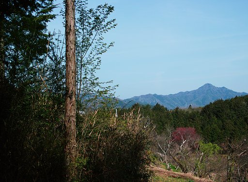 【質】　田舎