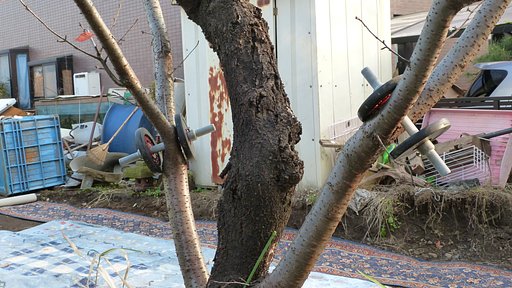 冬に備えて体力作り・・・