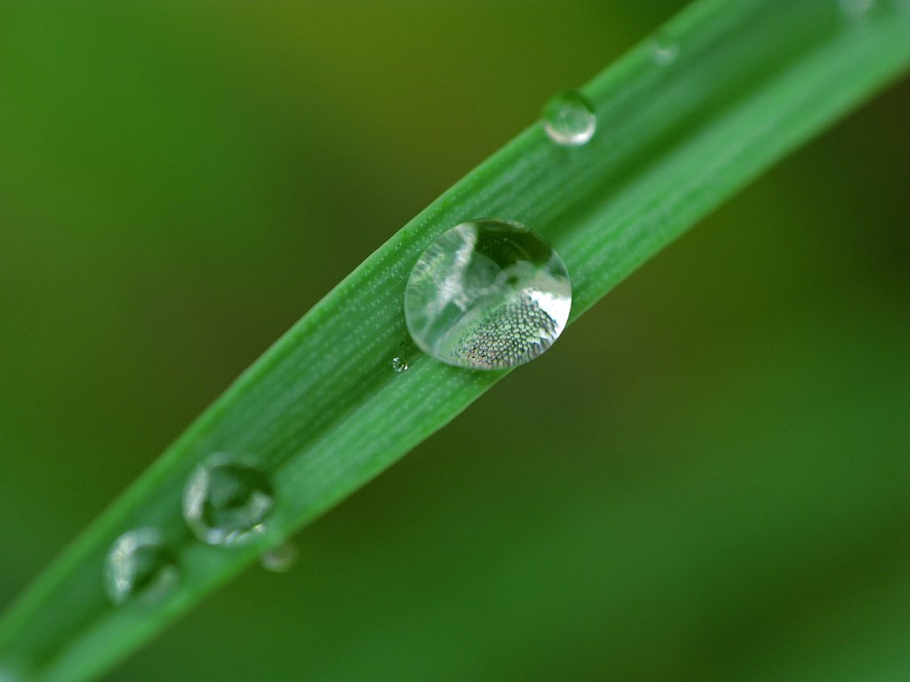 水晶玉