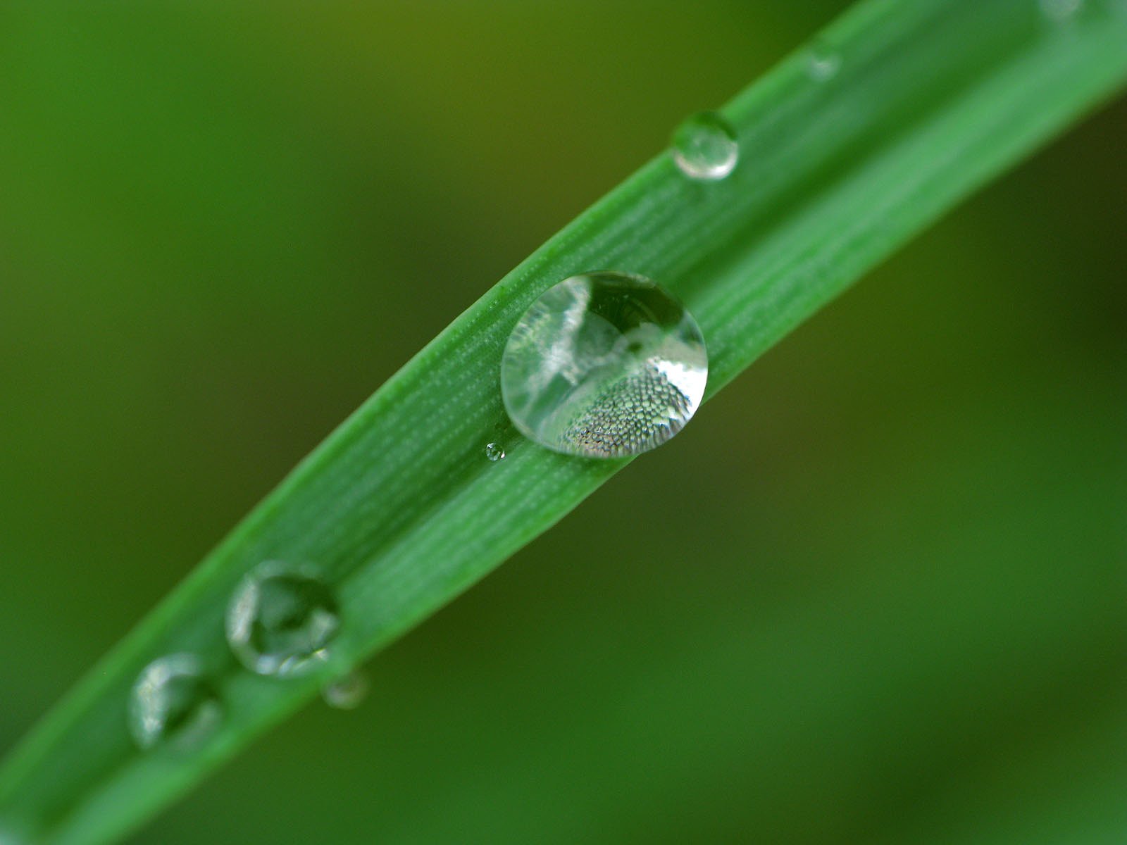 水晶玉
