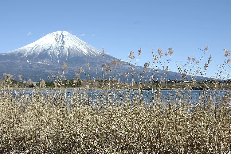 同じく田貫湖からです。