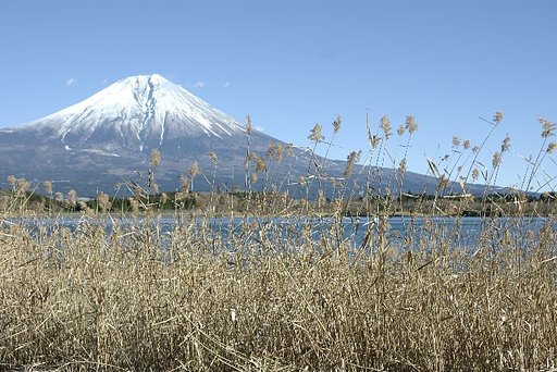 同じく田貫湖からです。
