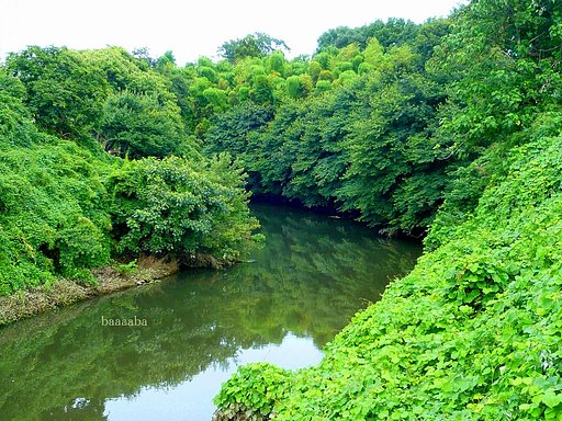 川のある景色