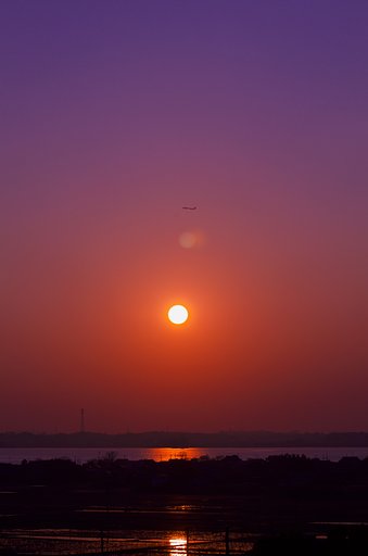 紫色の夕刻・・・