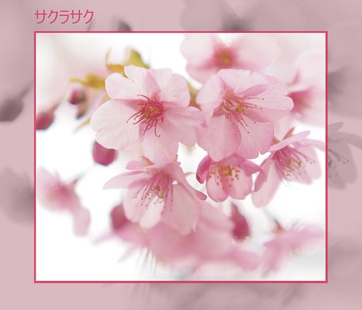 【この一曲】サクラサク
