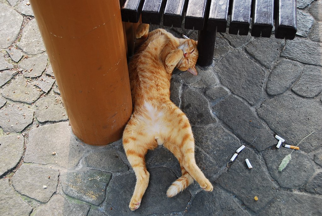 あぁ〜〜眠い！