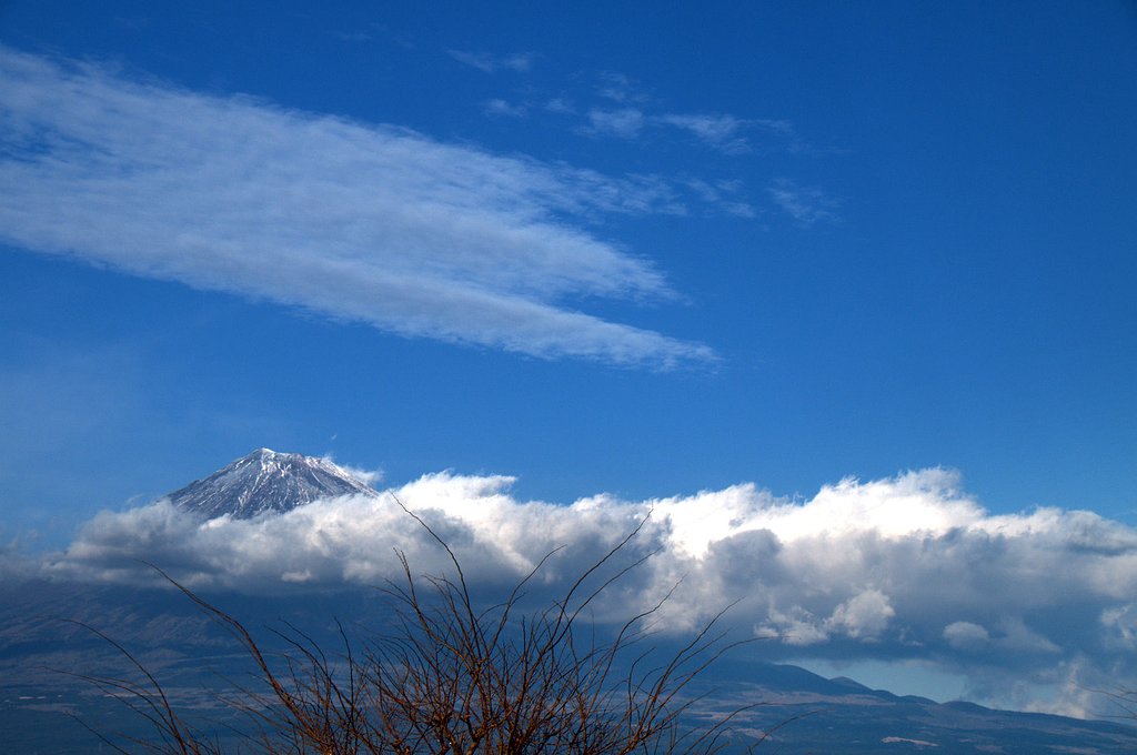 渋滞のお駄賃でした