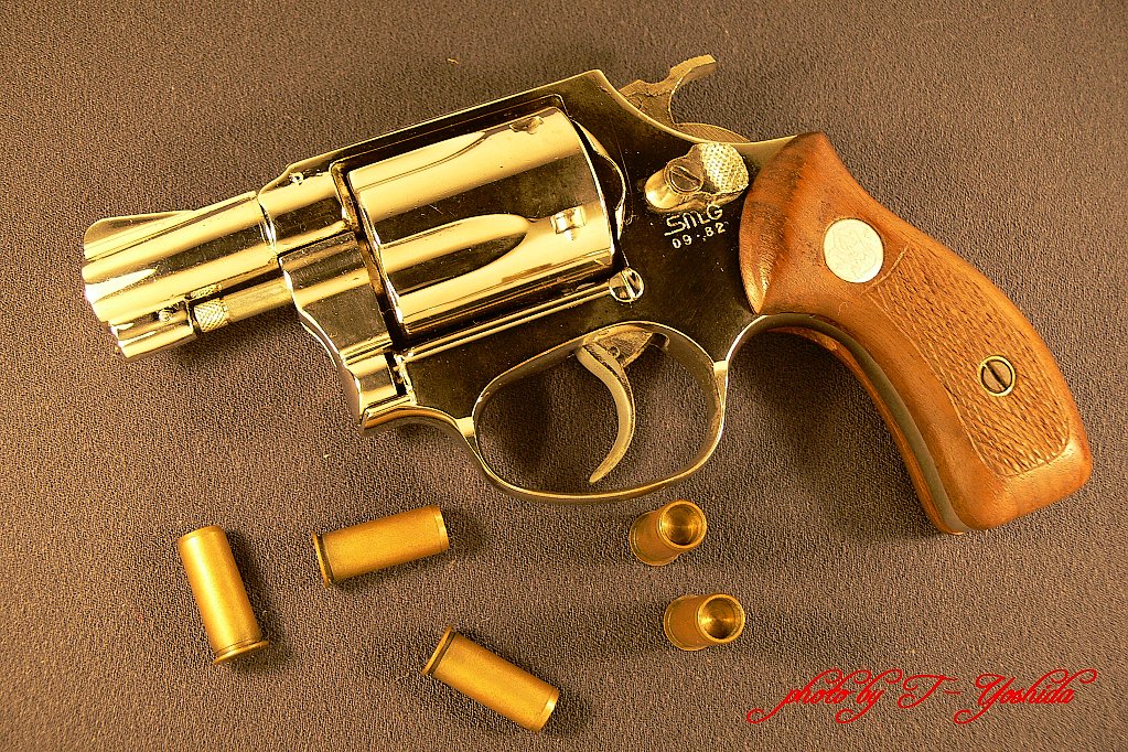Model gun