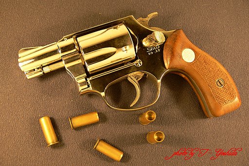 Model gun