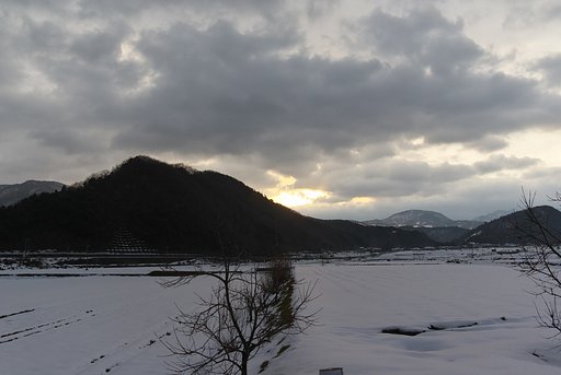 一寸だけ陽がさして・・